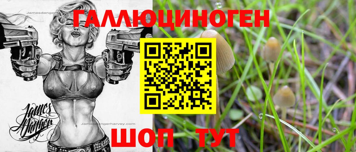 Псилоцибиновые грибы Cubensis Ангарск