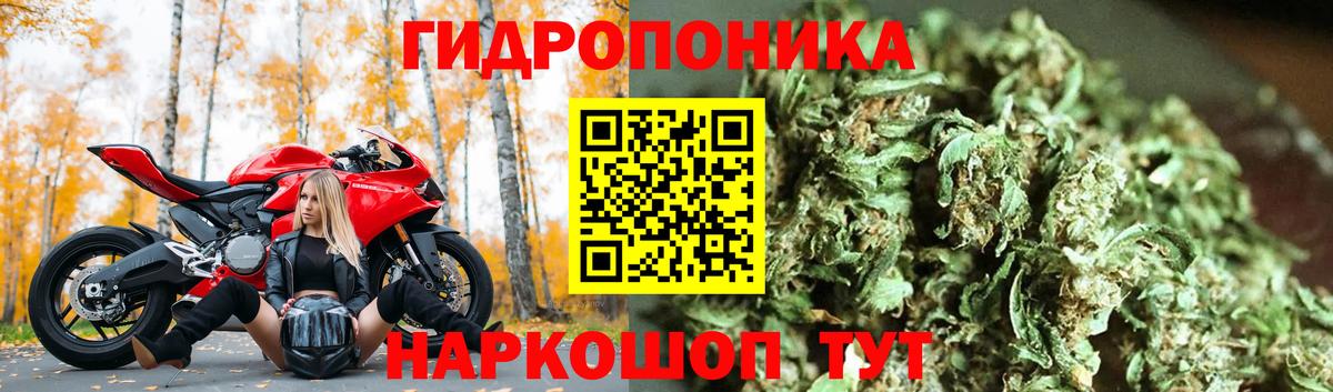 Бошки Шишки сатива  Вход с VPN  Бошки Шишки план  Ангарск 